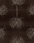 PALM | CHOCOLATE ON NATURAL