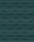 FOX + STAR | DESERT SKY