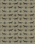 FOX + STAR | SAND