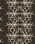 SHED | EARTH