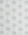 PALM PETITE | SAGE ON WHITE
