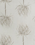PALM | PUTTY ON NATURAL