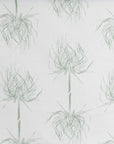 PALM | SAGE ON WHITE