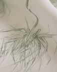 PALM PETITE | SAGE ON WHITE
