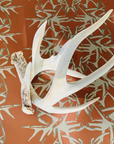 SHED | MONARCH