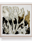 WEST: CACTI NO.1