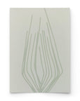 SEEDLING | PHOSPHOROUS