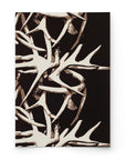 SHED | PEAT