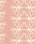 SHED | PEONY