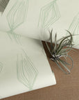 SEEDLING | PHOSPHOROUS