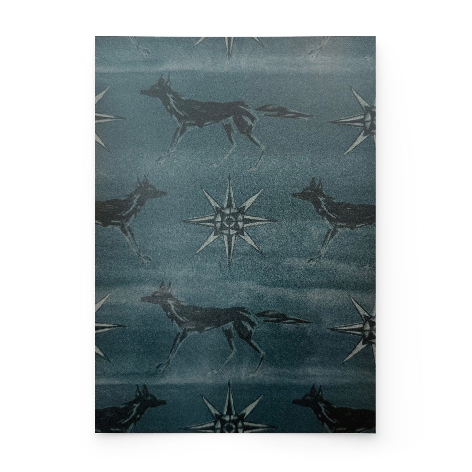 FOX + STAR | DESERT SKY