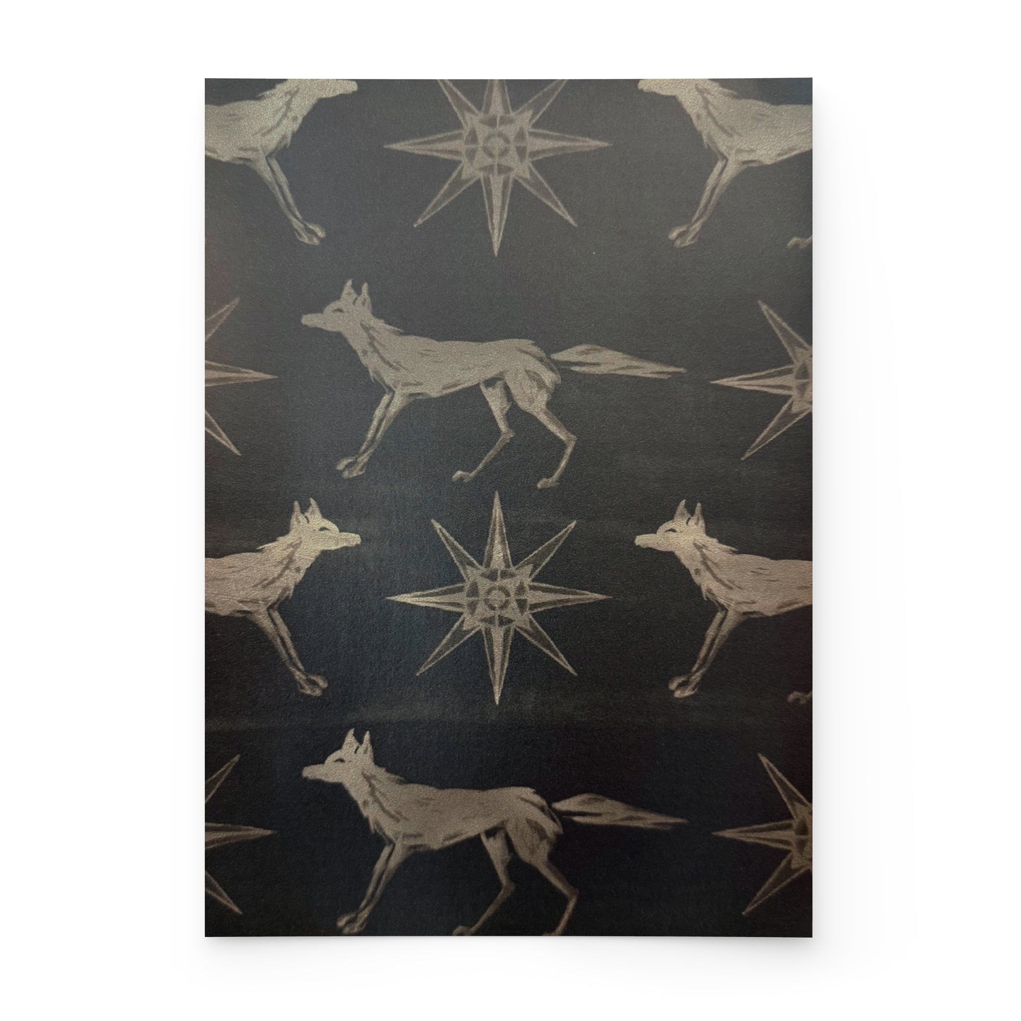 FOX + STAR | NOIR