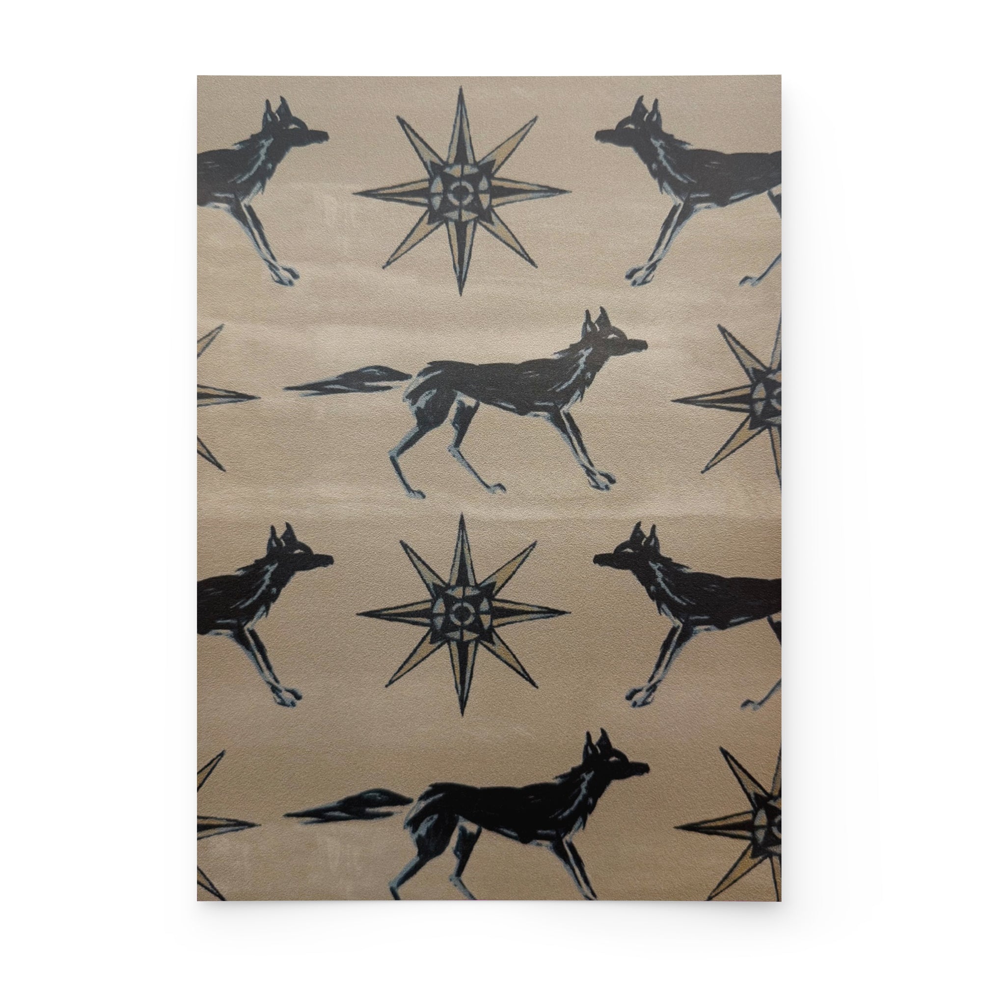 FOX + STAR | SAND