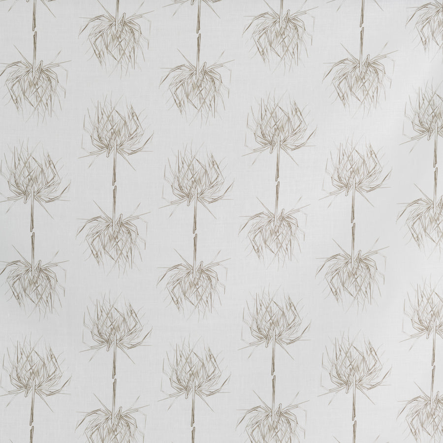 PALM PETITE | PUTTY ON OYSTER