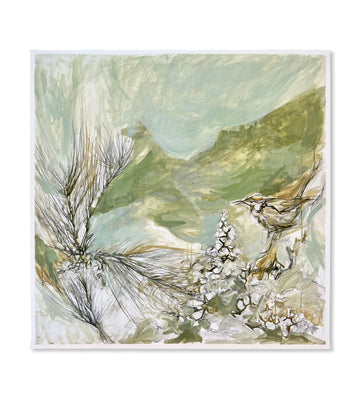 FOREST WREN