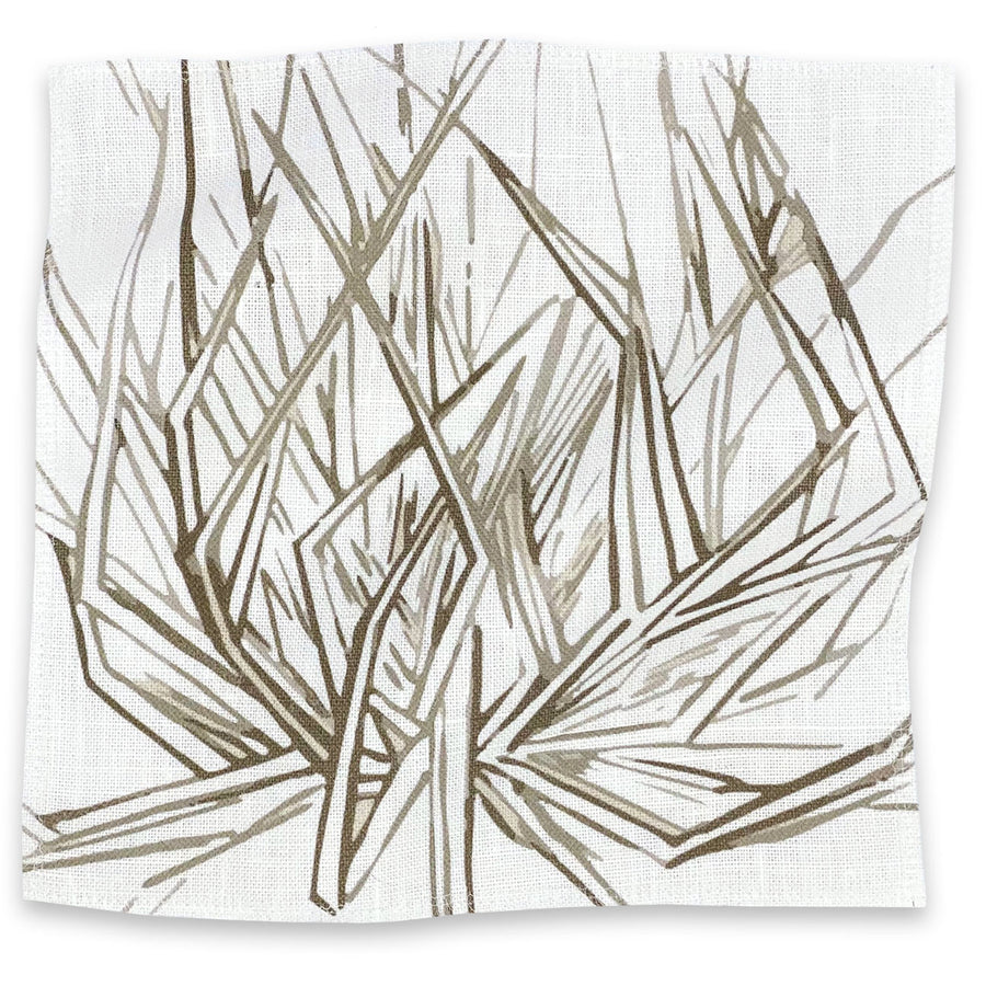 PALM | PUTTY ON OYSTER