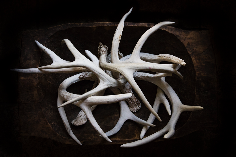 SHED | PEAT