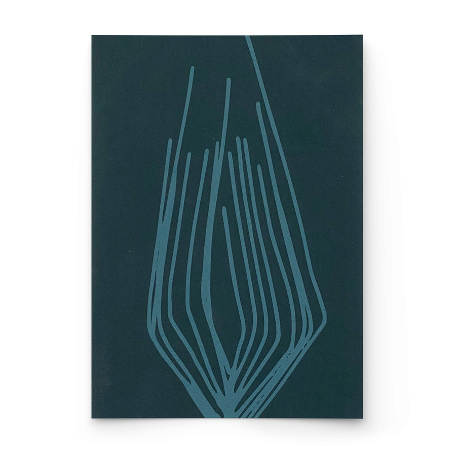 SEEDLING | DEEP SURF