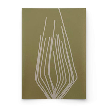 SEEDLING | KELP