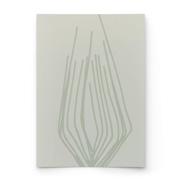 SEEDLING | PHOSPHOROUS