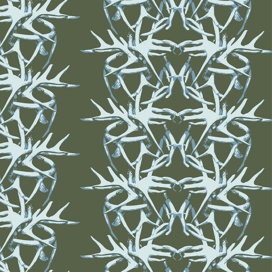 SHED | FERN
