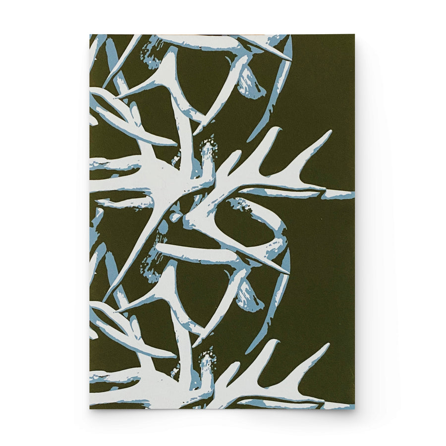 SHED | FERN