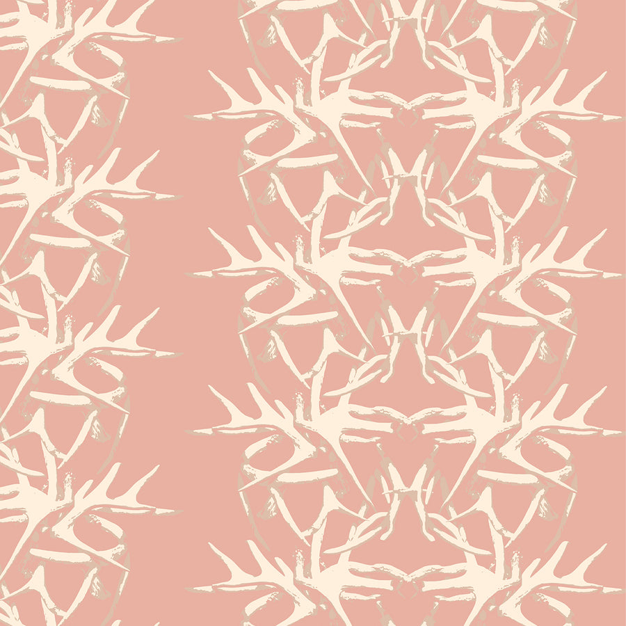 SHED | PEONY