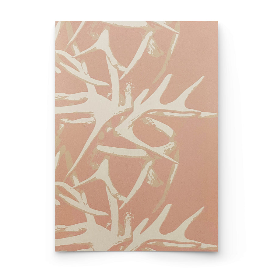 SHED | PEONY